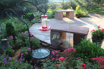 Hummingbird feeder nestled amidst Pentas, Geraniums, Batface, Roses and other colorful flowers