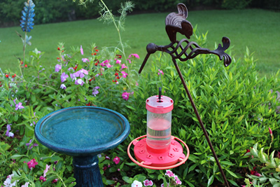How to attract hummingbirds to your home landscape: hummingbird gardening!