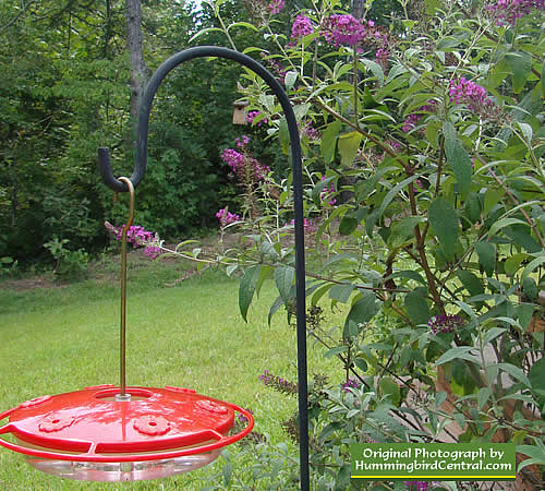 Flat, 6 feeding station hummingbird feeder with continuous perch