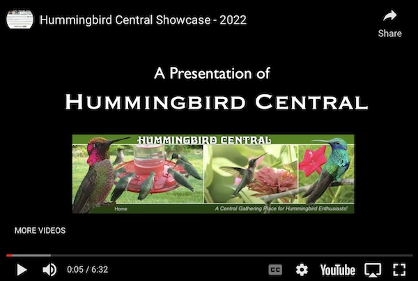Click to view the Hummingbird Central Showcase 2022 ... a video at YouTube