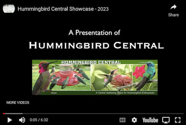 Click to view the Hummingbird Central Showcase 2023 ... a video at YouTube