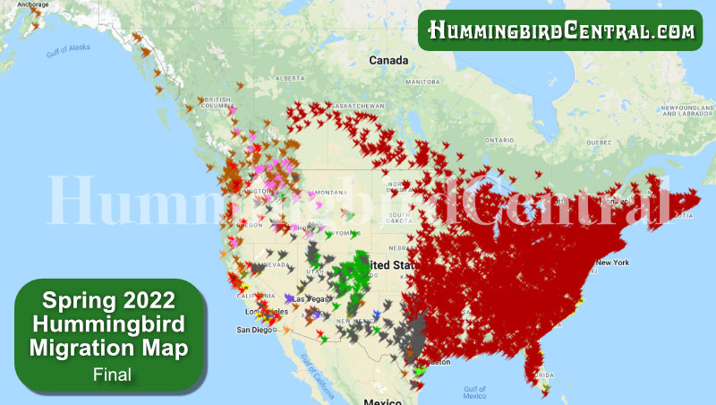 2022 Hummingbird Migration Map ... click for interactive map with details of sightings