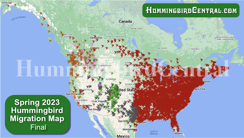 2023 Hummingbird Migration Map ... click for interactive map with details of sightings
