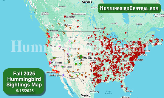 2025 Map of Fall Hummingbird Sightings ... click to view the map!