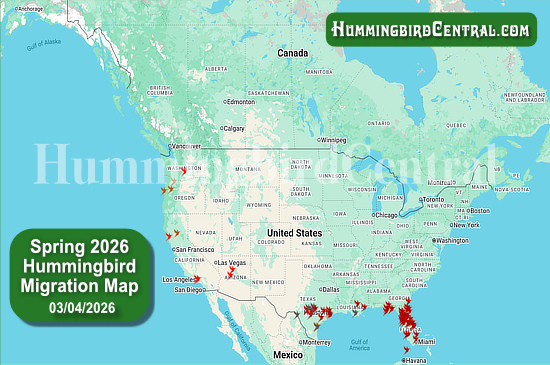 Spring 2026 Hummingbird Migration Map - click for interactive map of sightings