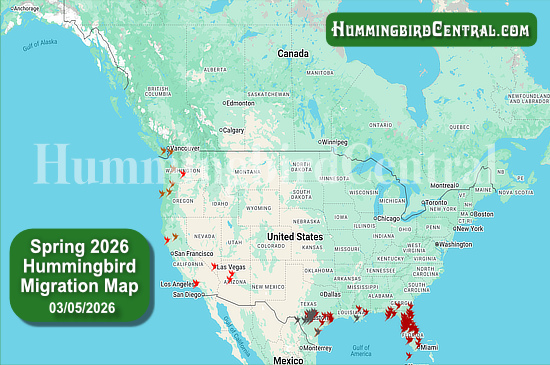 Spring 2026 Hummingbird Migration Map - click for interactive map of sightings