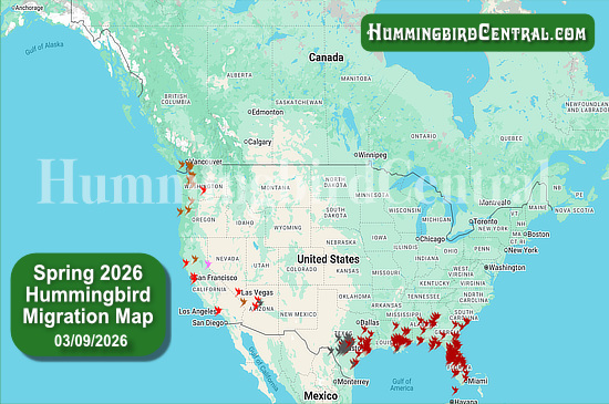 Spring 2026 Hummingbird Migration Map - click for interactive map of sightings