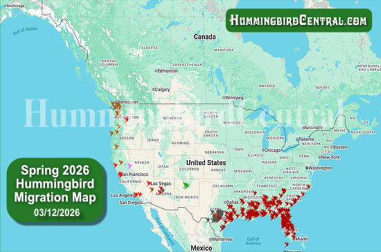 Spring 2026 Hummingbird Migration Map - click for interactive map of sightings