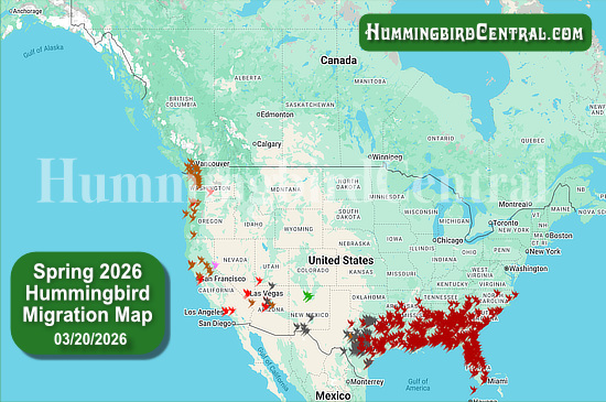 Spring 2026 Hummingbird Migration Map - click for interactive map of sightings