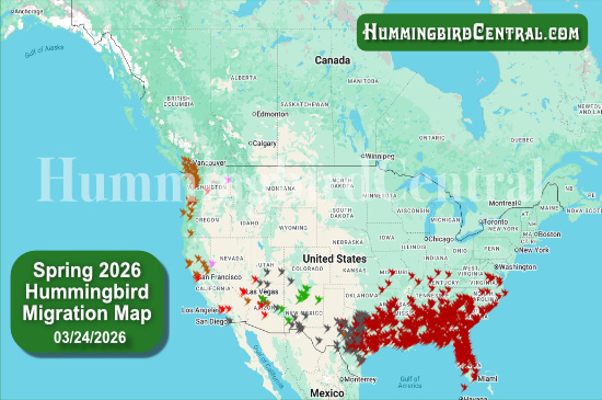 Spring 2026 Hummingbird Migration Map - click for interactive map of sightings