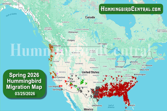 Spring 2026 Hummingbird Migration Map - click for interactive map of sightings