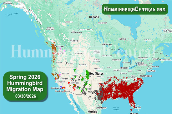 Spring 2026 Hummingbird Migration Map - click for interactive map of sightings