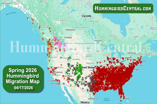 Spring 2026 Hummingbird Migration Map - click for interactive map of sightings