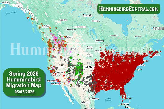 Spring 2026 Hummingbird Migration Map - click for interactive map of sightings