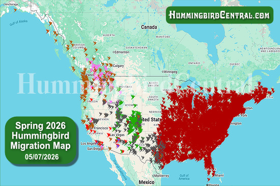 Spring 2026 Hummingbird Migration Map - click for interactive map of sightings
