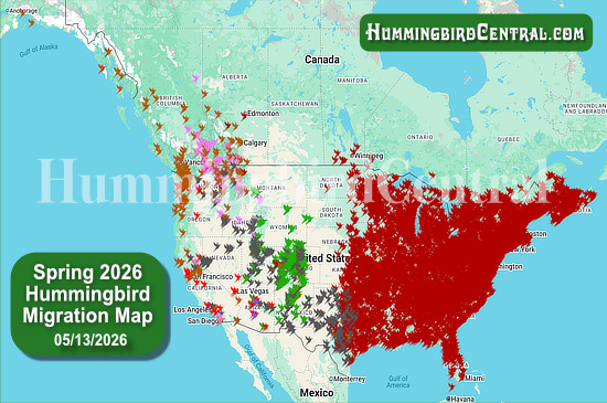 Spring 2026 Hummingbird Migration Map - click for interactive map of sightings