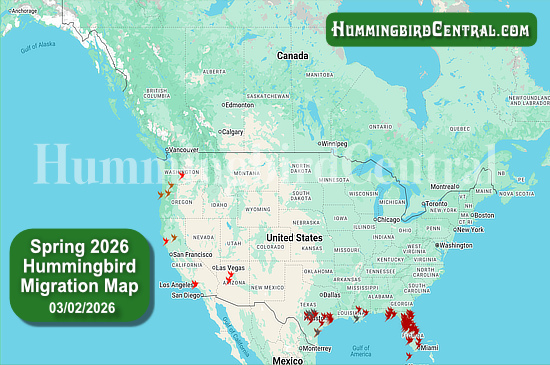 Spring 2026 Hummingbird Migration Map - click for interactive map of sightings