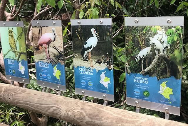 Signs designating some of the many bird species seen at the National Aviary of colombia