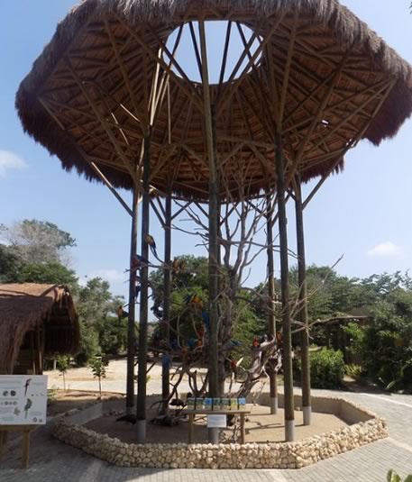 The bird tower at the National Aviary of colombia ... a popular gatering point during tours