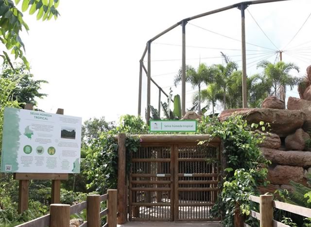 One of the many exhibit areas at the National Aviary of colombia
