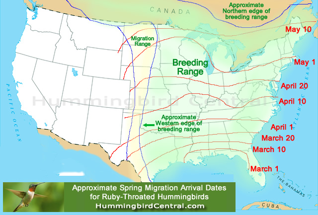 Map showing the average spring migration arrival dates for Ruby-Throated Hummingbirds in North America