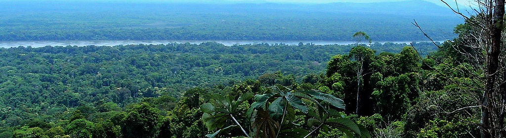 View of the Essequibo River and rain forest from Turtle Mountain in Guyana