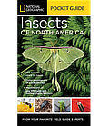 Insects of North America: Pocket Guide from National Geographic ... at Amazon