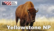 Travel Guide for Yellowstone National Park ... things to do, attractions, hotels, maps and photographs
